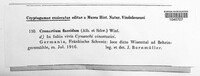 Cronartium flaccidum image